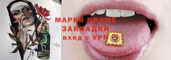 дмт Пересвет