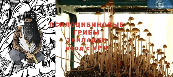 дмт Пересвет