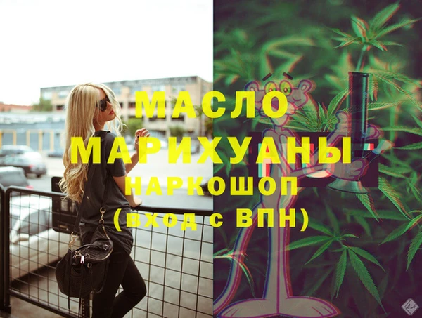 дмт Пересвет