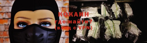 дмт Пересвет