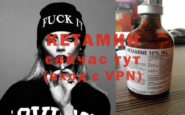 дмт Пересвет