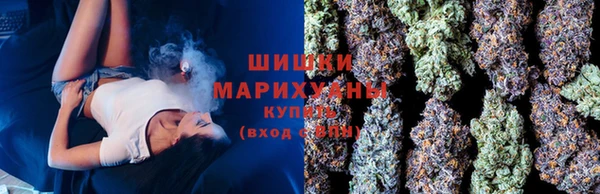 дмт Пересвет