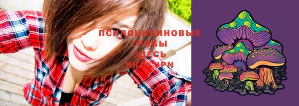 дмт Пересвет