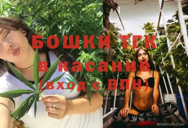 экстази Пестово