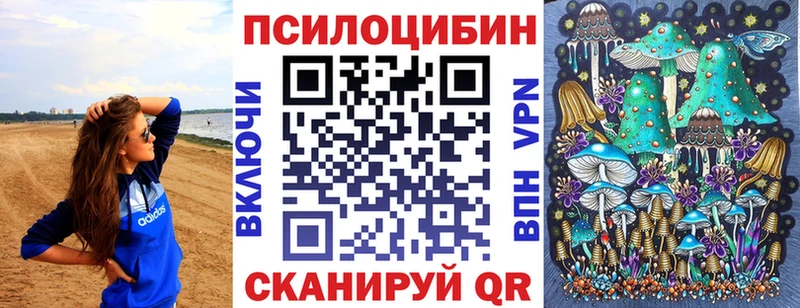 Купить где  Кировград  Галлюциногенные грибы Cubensis 